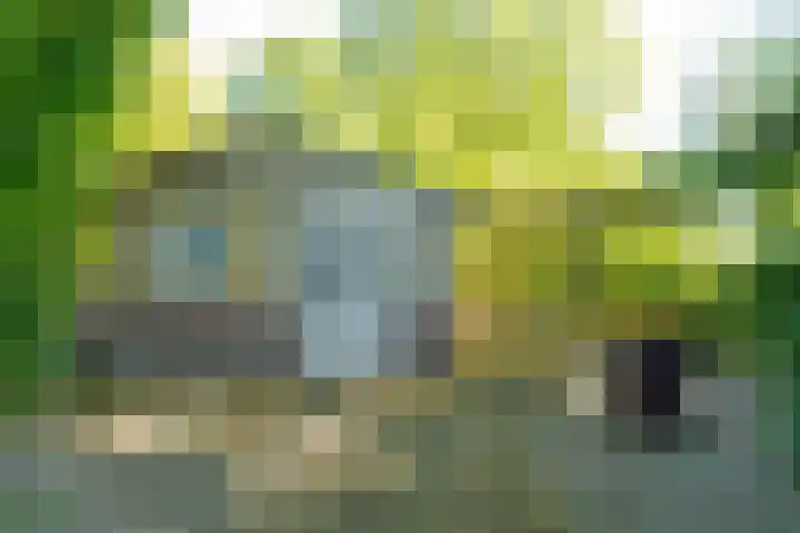 Achterweg 27 Odoornerveen thumbnail 32
