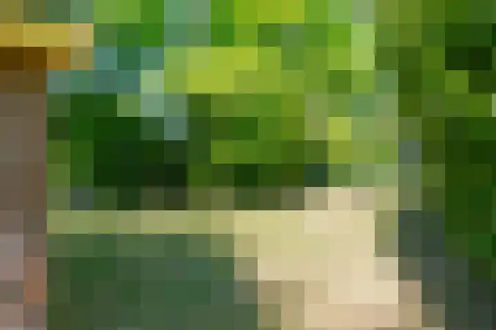 Achterweg 27 Odoornerveen thumbnail 35