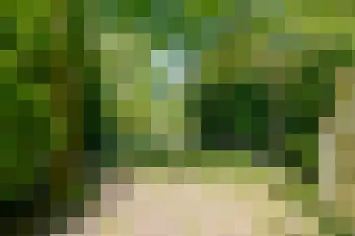Achterweg 27 Odoornerveen thumbnail 37