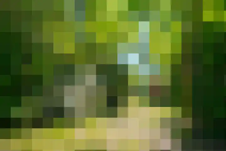 Achterweg 27 Odoornerveen thumbnail 38