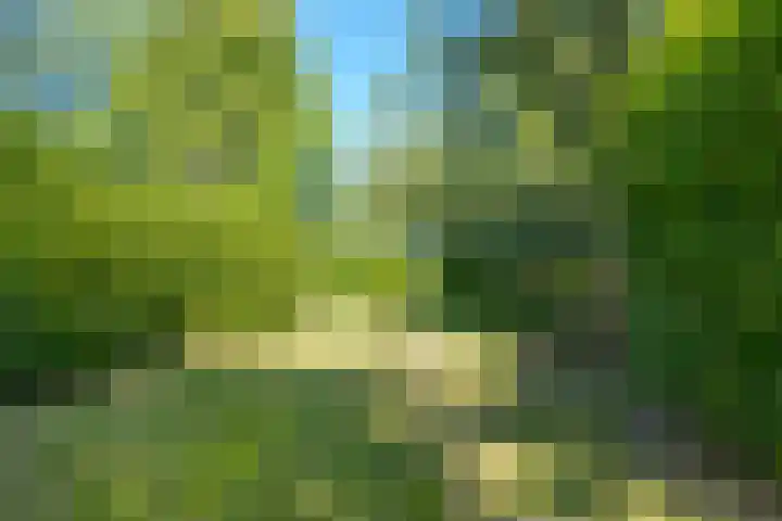 Achterweg 27 Odoornerveen thumbnail 39