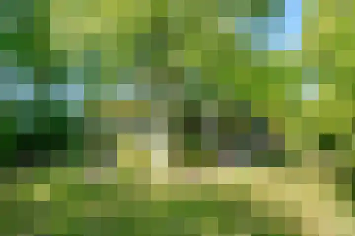 Achterweg 27 Odoornerveen thumbnail 4