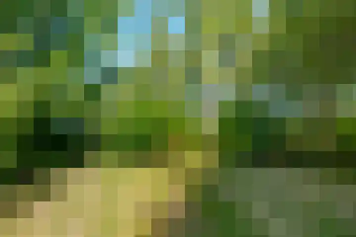 Achterweg 27 Odoornerveen thumbnail 40