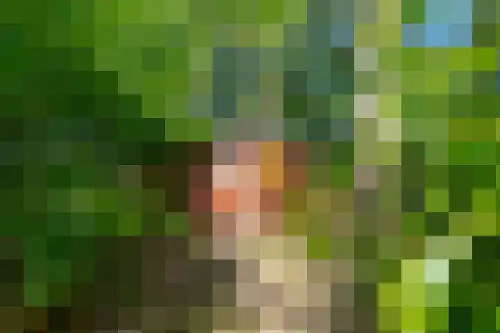 Achterweg 27 Odoornerveen thumbnail 41
