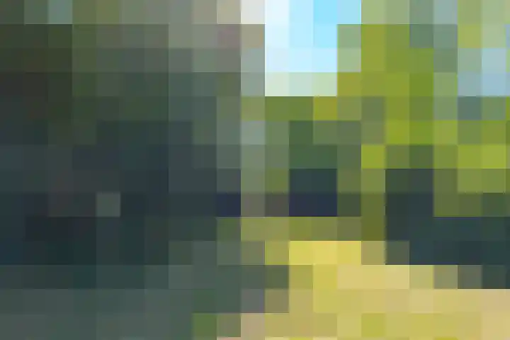 Achterweg 27 Odoornerveen thumbnail 42