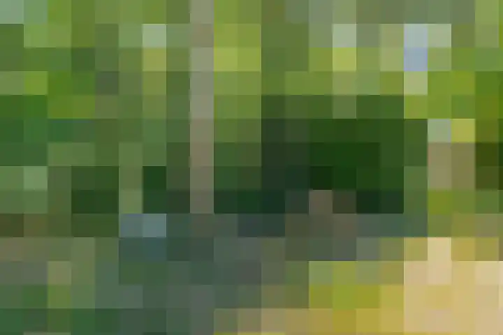 Achterweg 27 Odoornerveen thumbnail 43