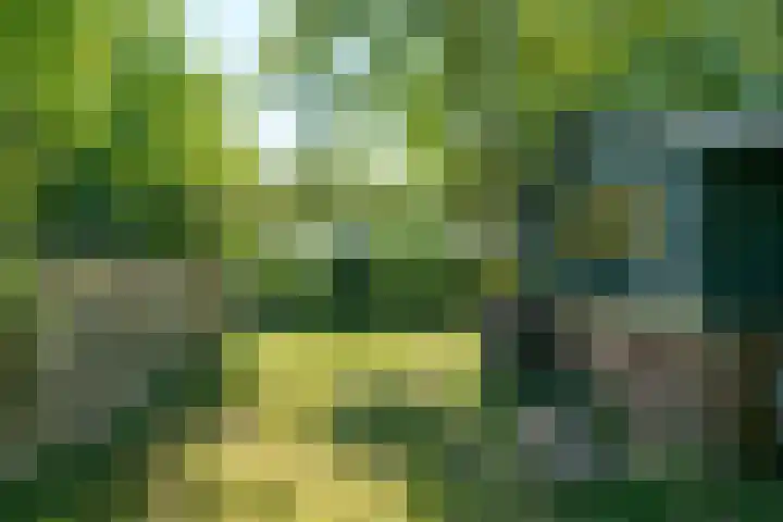 Achterweg 27 Odoornerveen thumbnail 44
