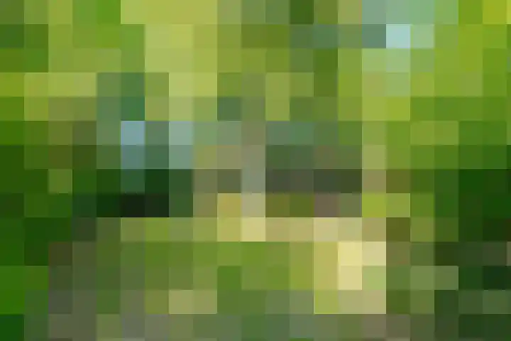 Achterweg 27 Odoornerveen thumbnail 46