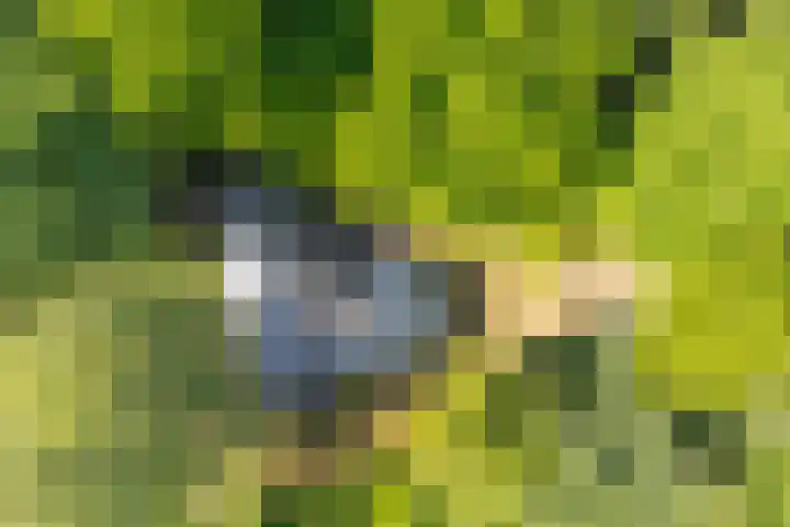 Achterweg 27 Odoornerveen thumbnail 47