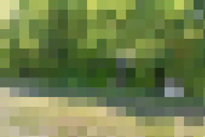 Achterweg 27 Odoornerveen thumbnail 48