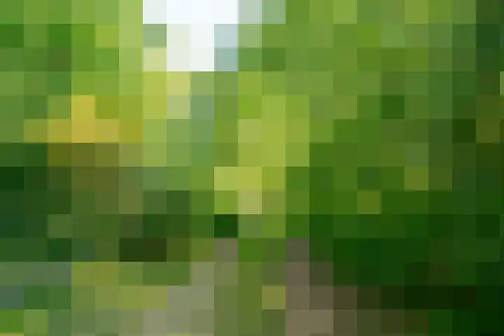 Achterweg 27 Odoornerveen thumbnail 6