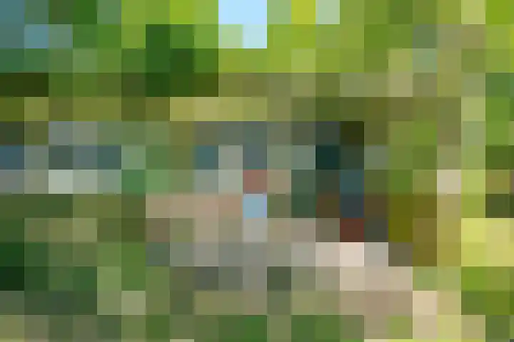 Achterweg 27 Odoornerveen thumbnail 8