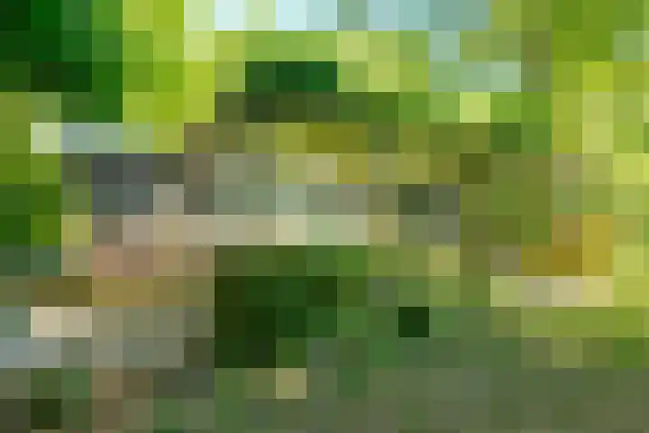 Achterweg 27 Odoornerveen thumbnail 9