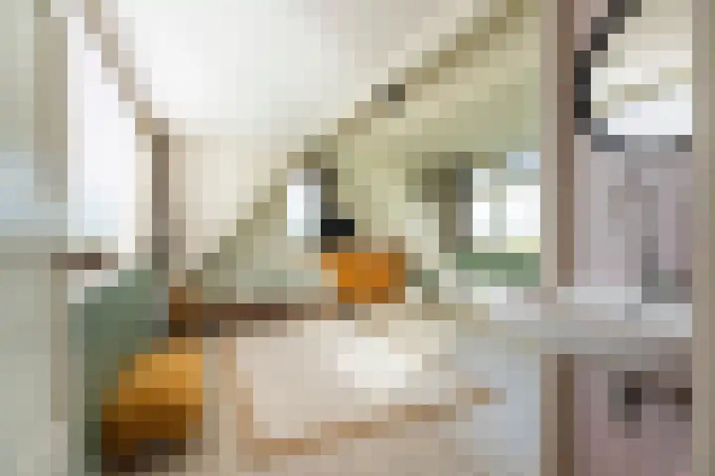 Achterweg 29 Valkenburg thumbnail 22