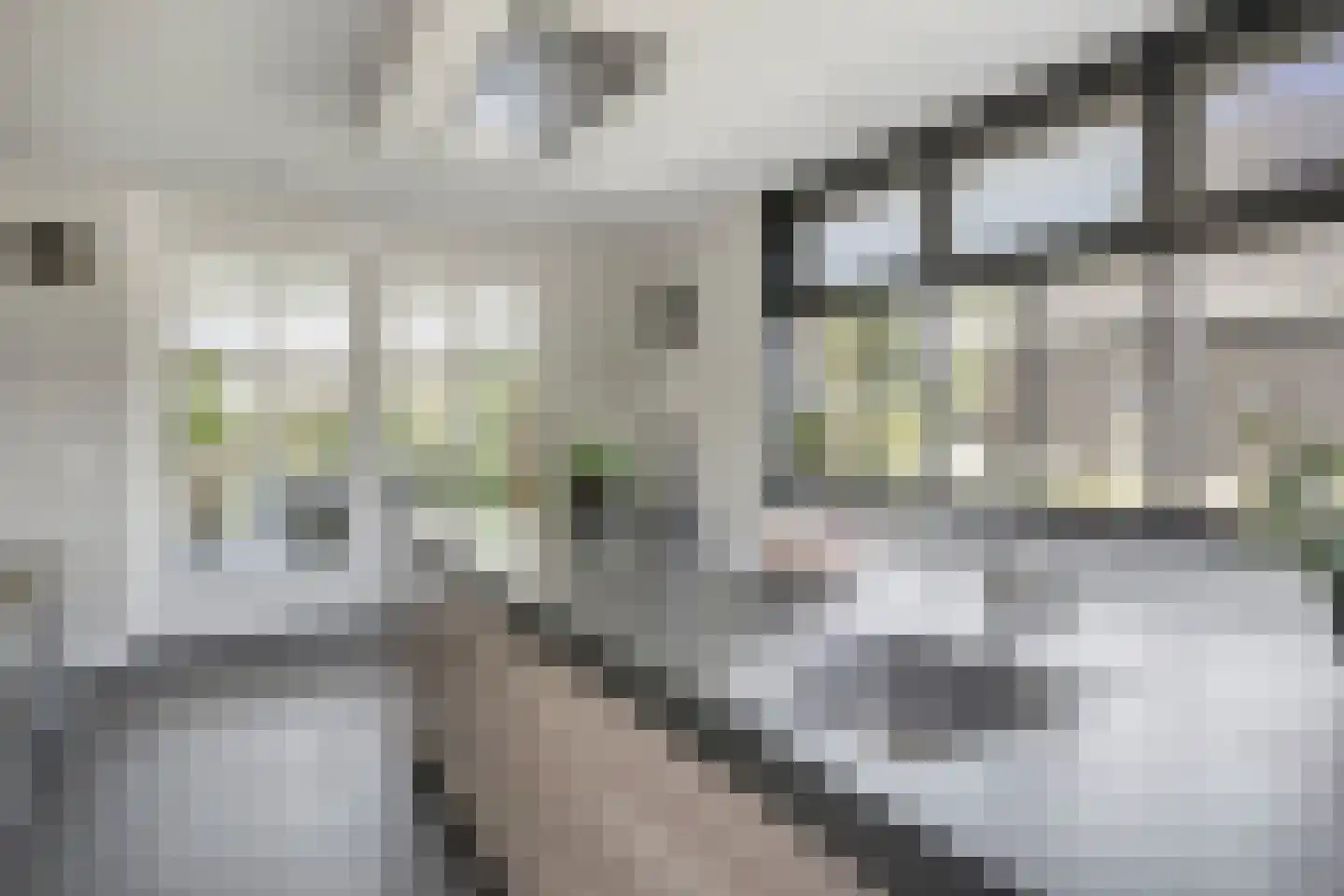 Achterweg 3 Berlicum thumbnail 12