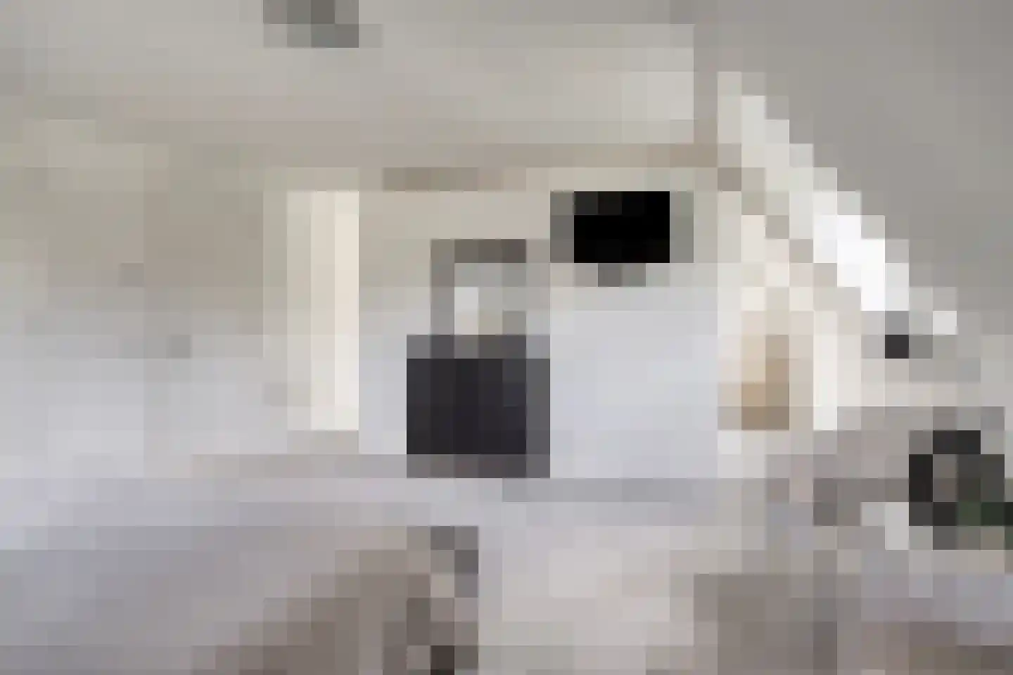 Achterweg 3 Berlicum thumbnail 26