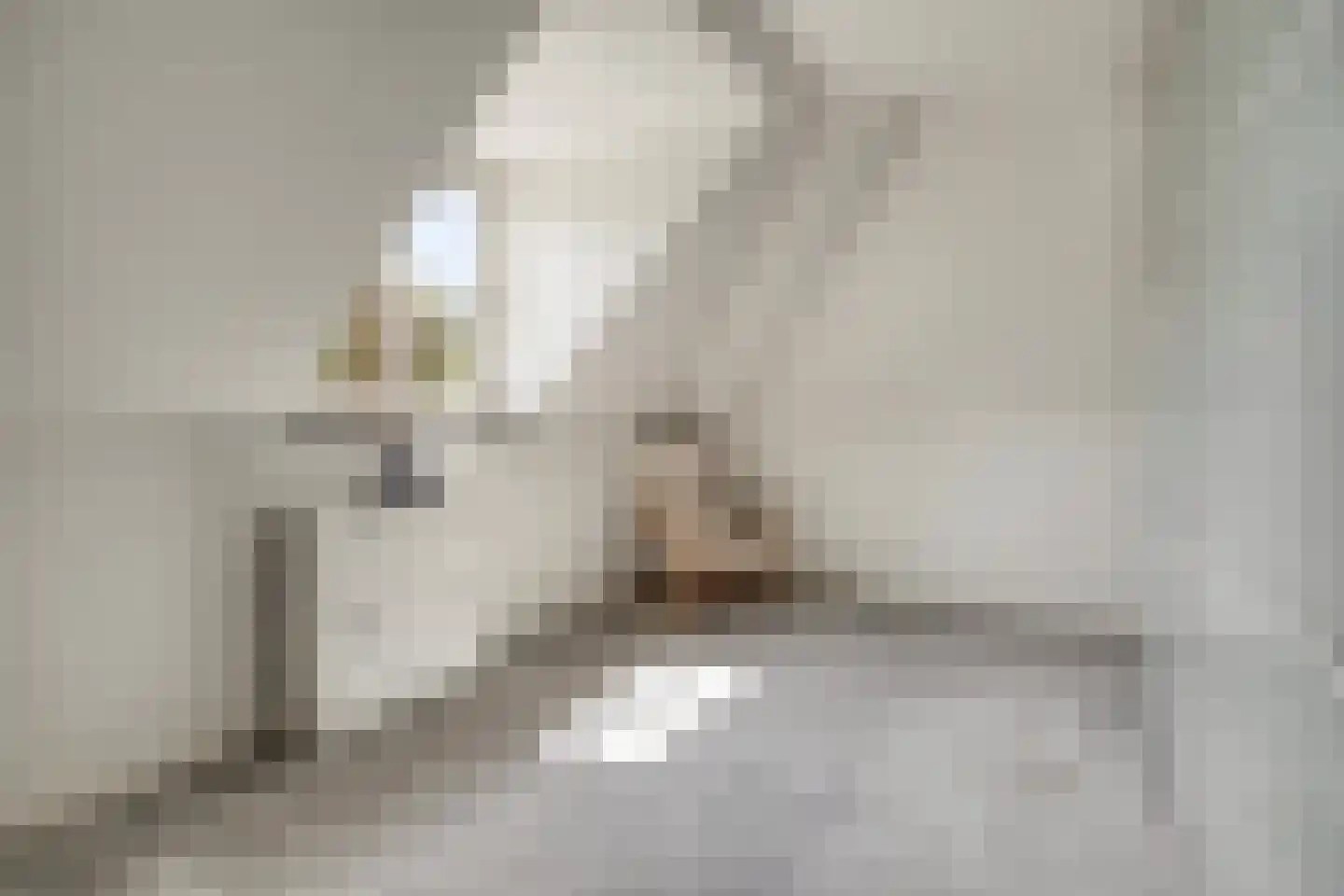 Achterweg 3 Berlicum thumbnail 27