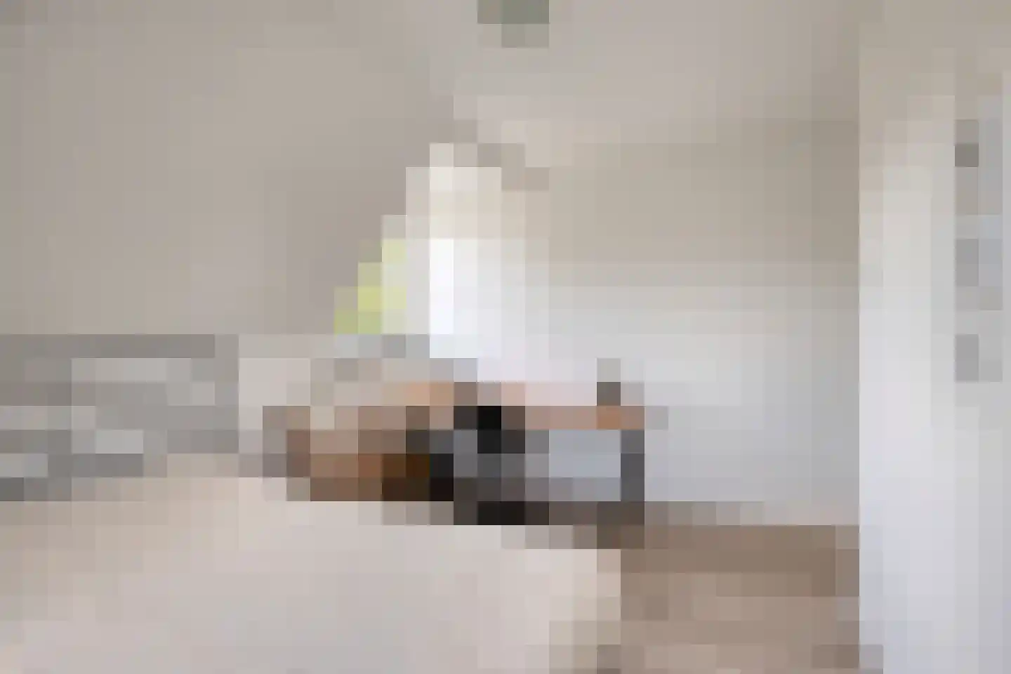 Achterweg 3 Berlicum thumbnail 29