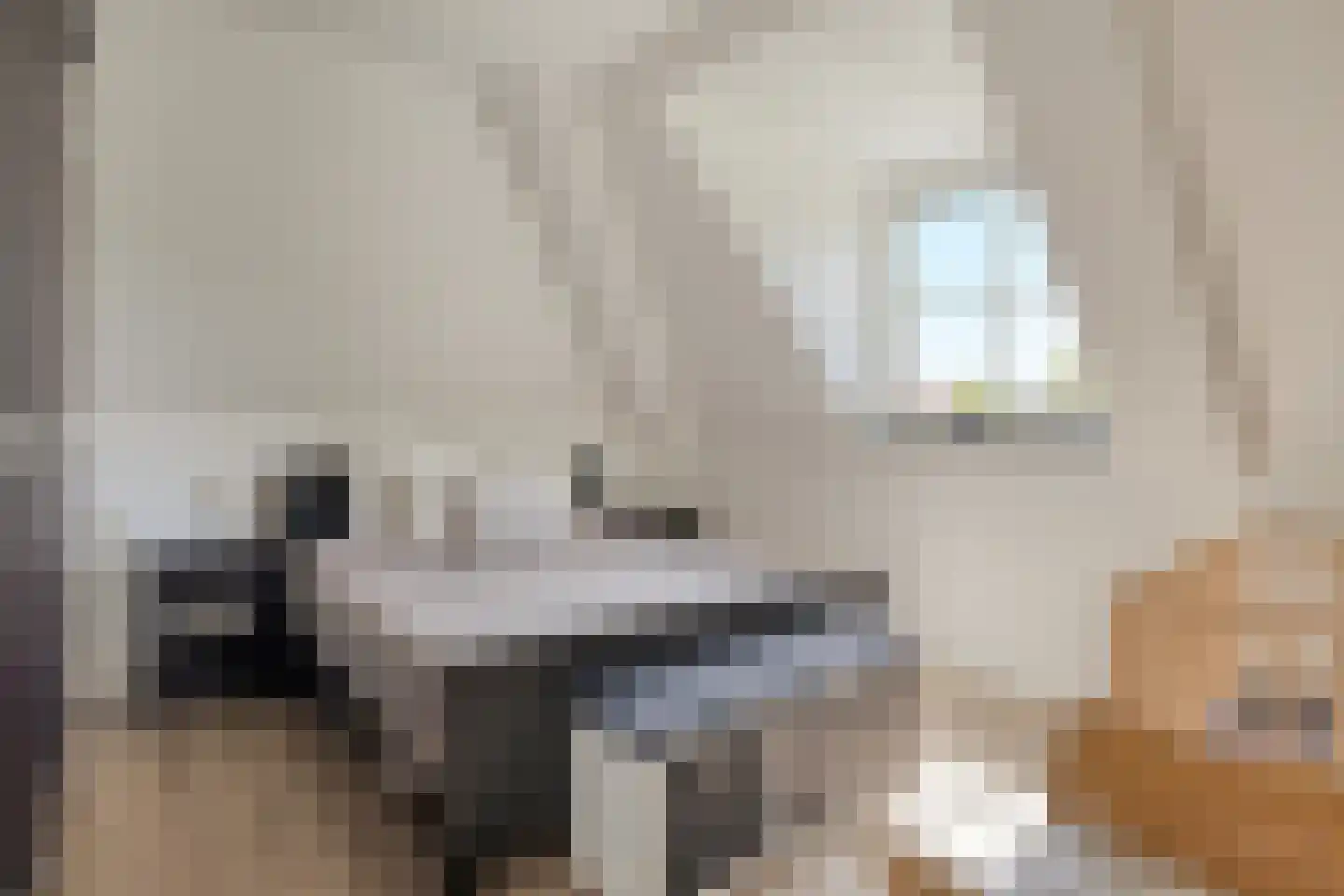 Achterweg 3 Berlicum thumbnail 30