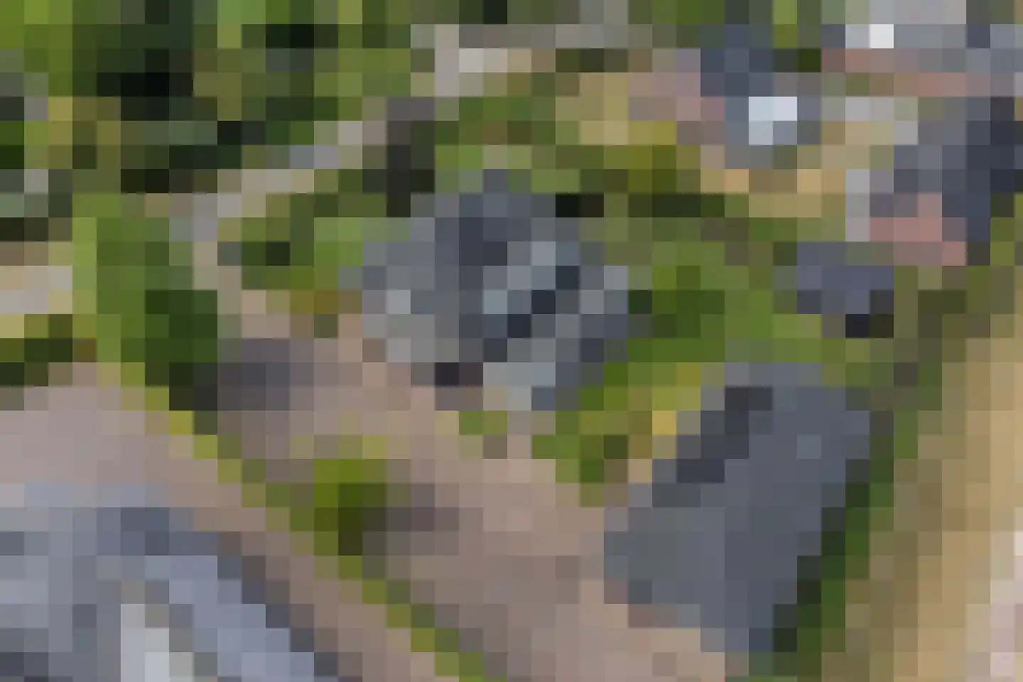 Achterweg 3 Berlicum thumbnail 4