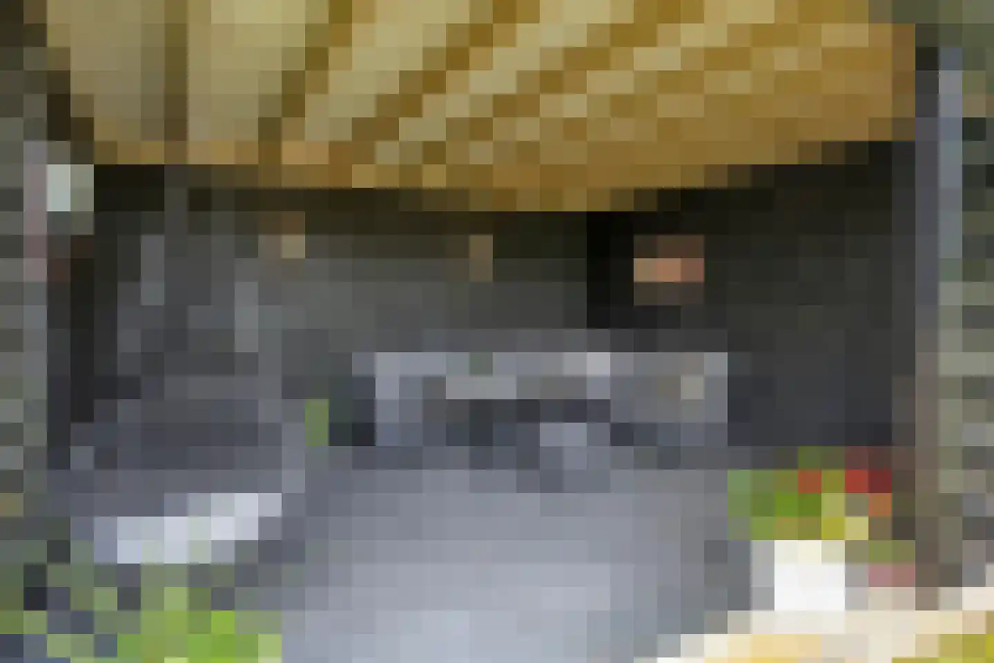 Achterweg 3 Berlicum thumbnail 43