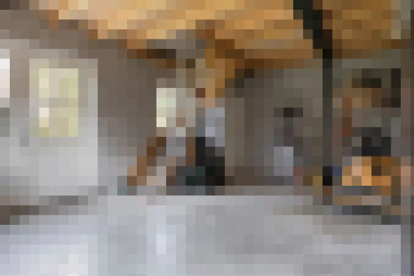 Achterweg 3 Berlicum thumbnail 48