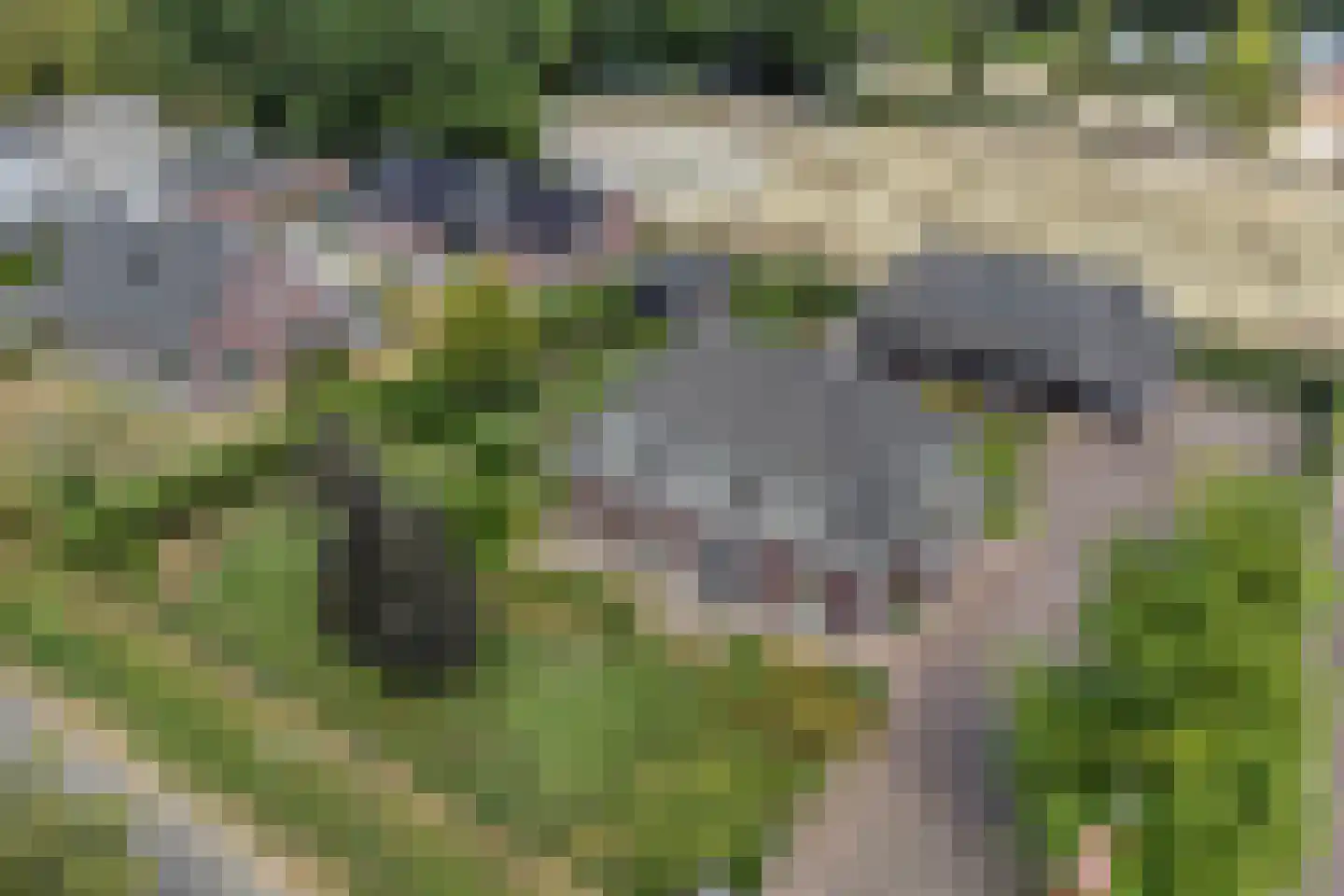 Achterweg 3 Berlicum thumbnail 53