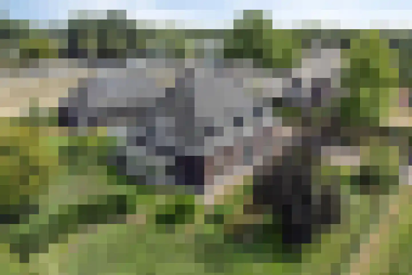Achterweg 3 Berlicum thumbnail 55