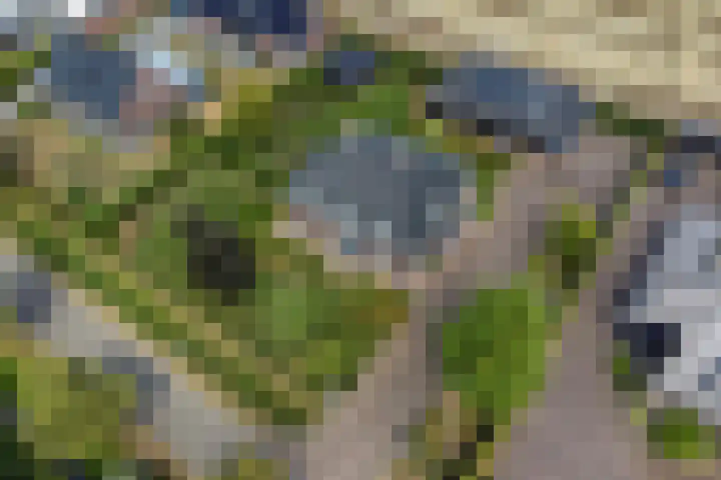 Achterweg 3 Berlicum thumbnail 58