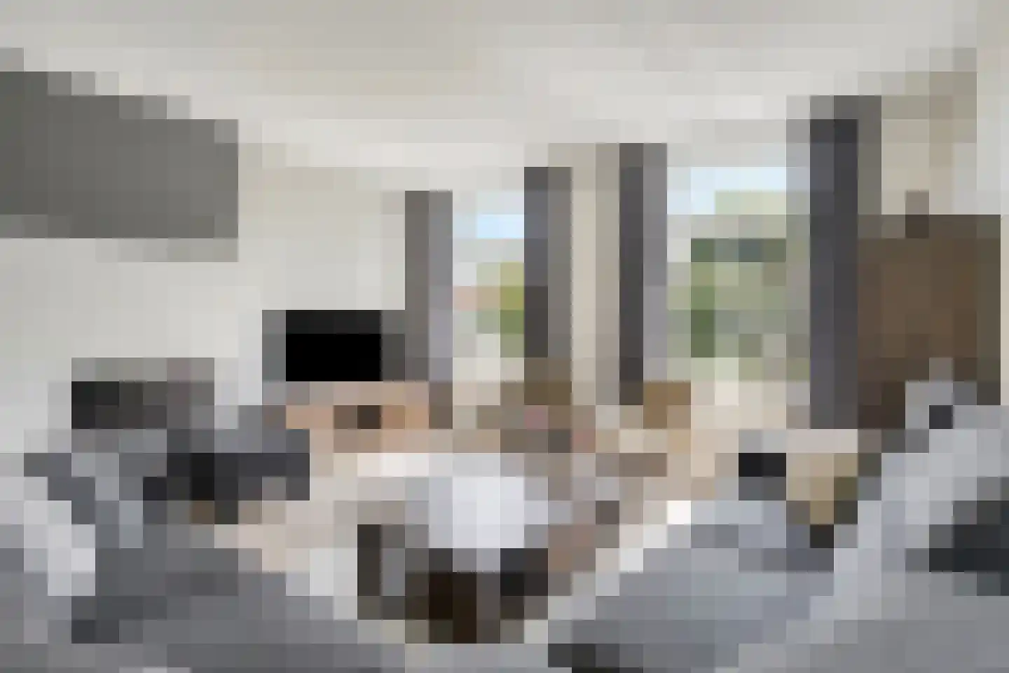 Achterweg 3 Berlicum thumbnail 6