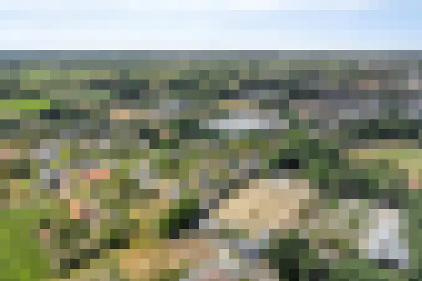 Achterweg 3 Berlicum thumbnail 60