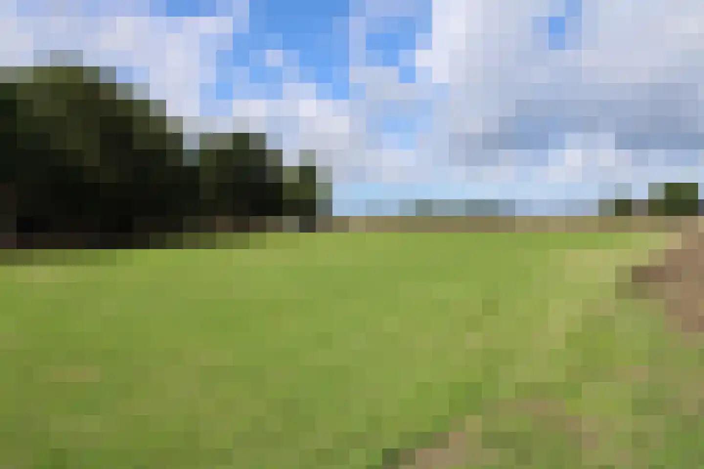 Achterweg 3 Tinte thumbnail 13