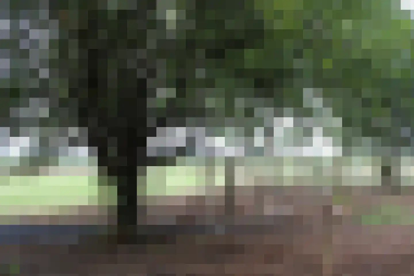 Achterweg 3 Tinte thumbnail 14
