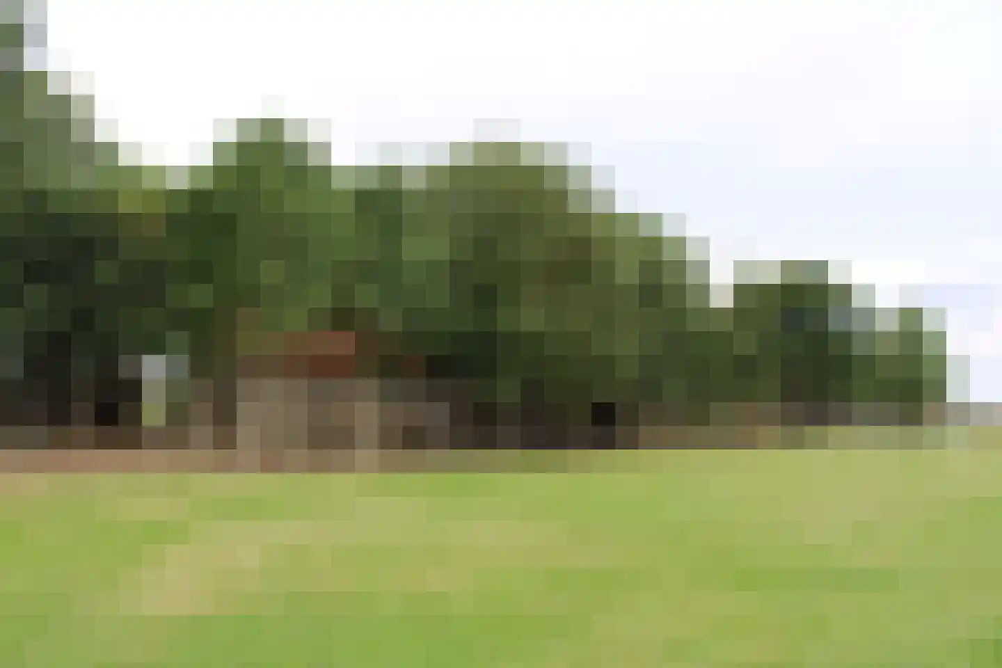 Achterweg 3 Tinte thumbnail 15