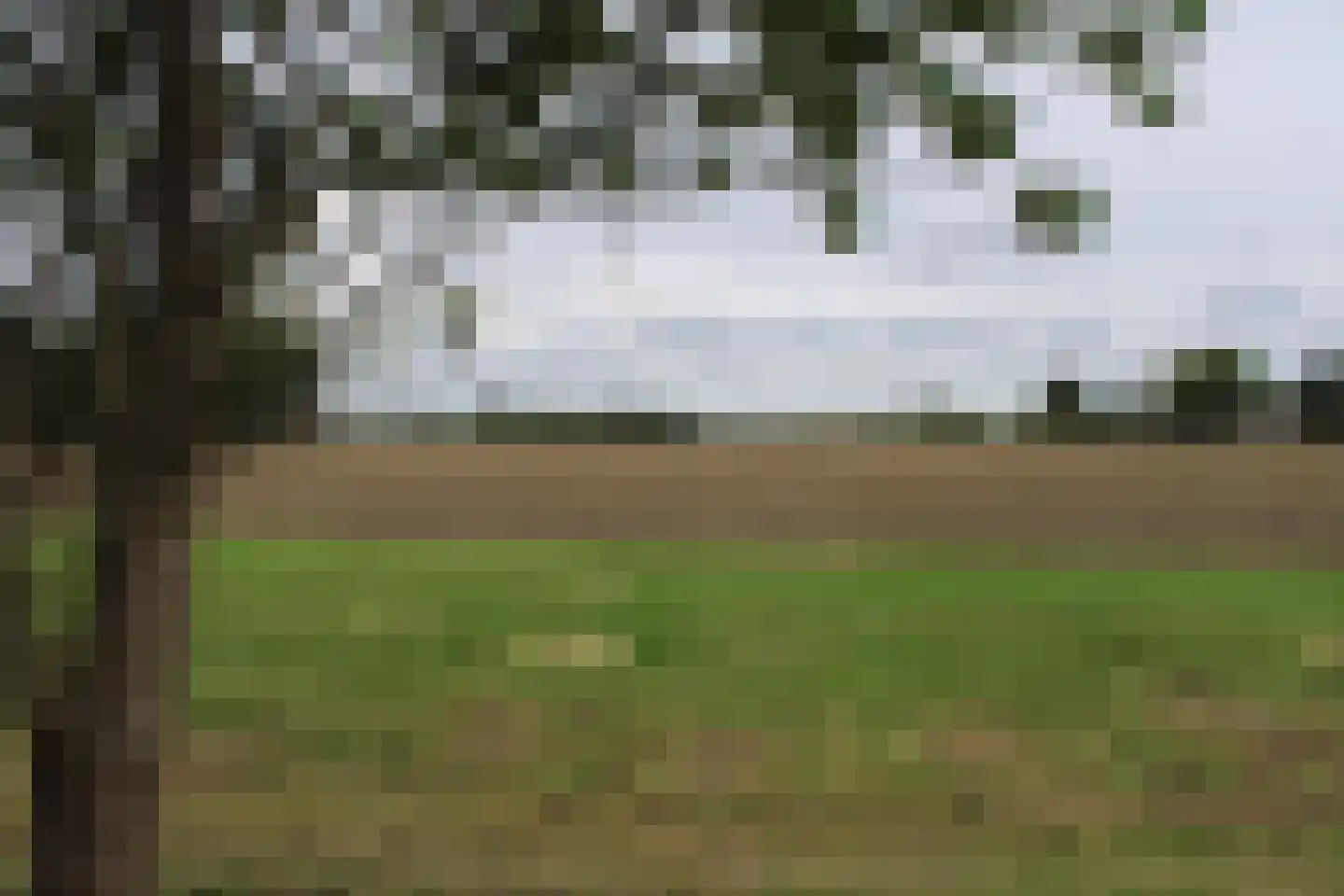 Achterweg 3 Tinte thumbnail 16