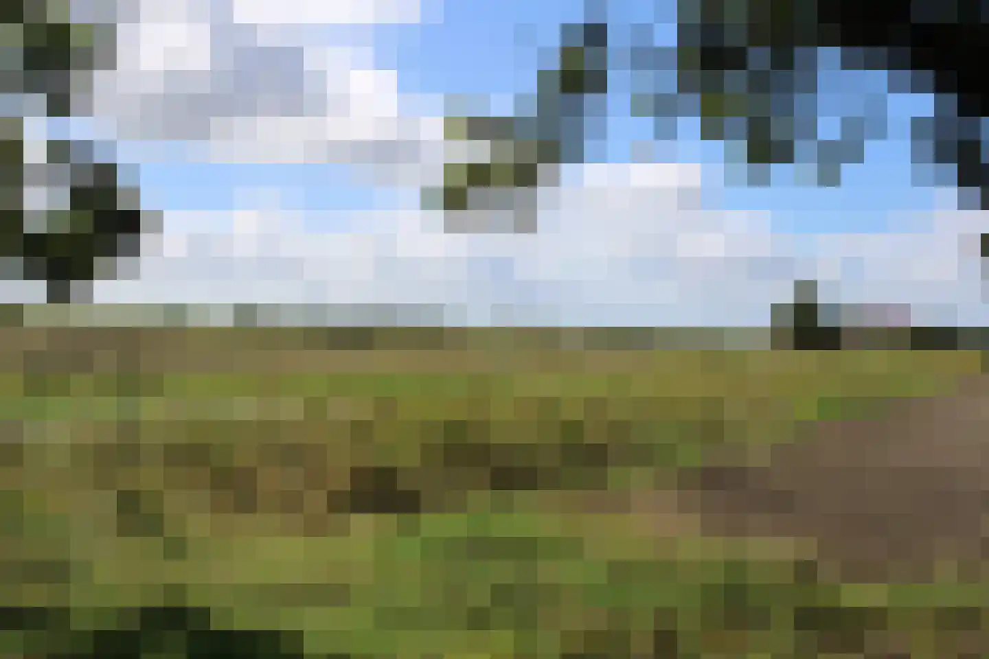 Achterweg 3 Tinte thumbnail 17