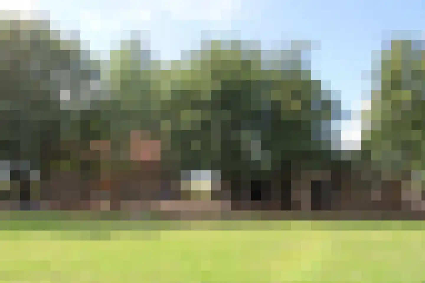 Achterweg 3 Tinte thumbnail 4