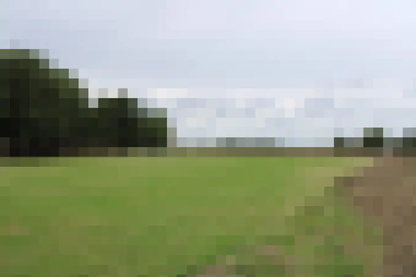 Achterweg 3 Tinte thumbnail 5