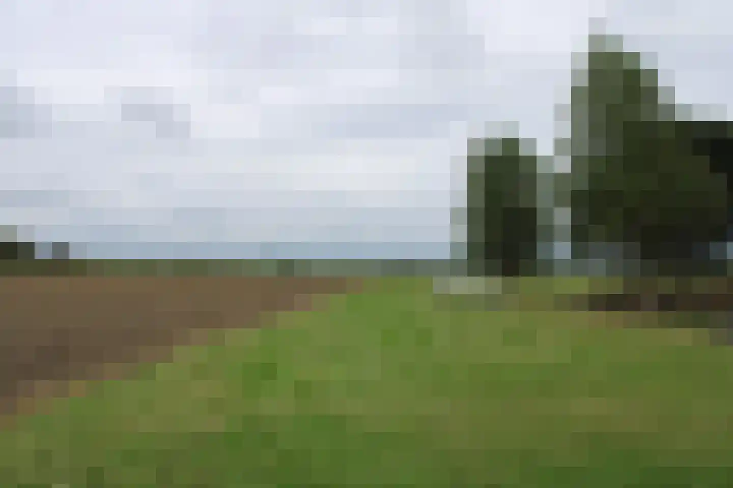 Achterweg 3 Tinte thumbnail 6