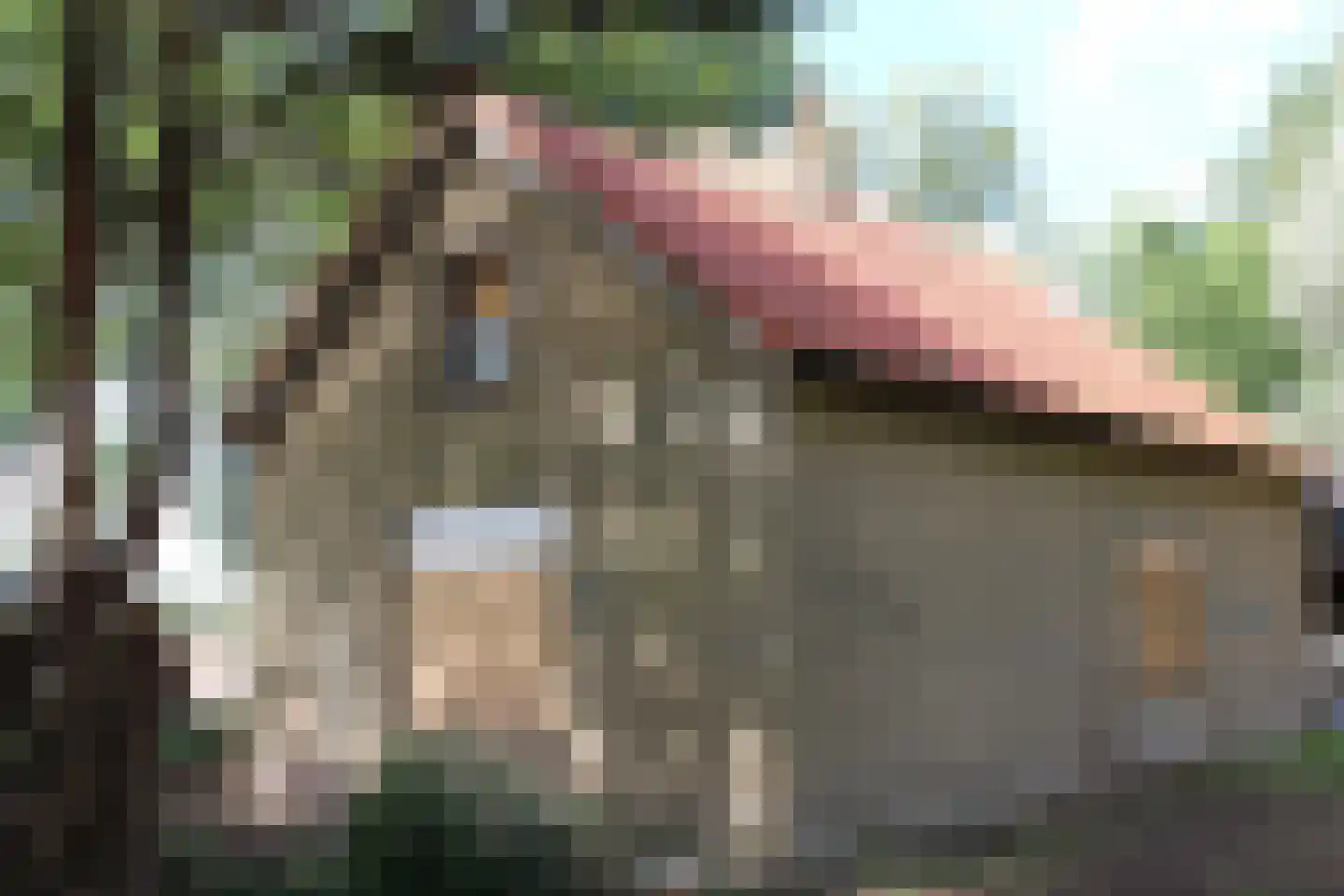 Achterweg 3 Tinte thumbnail 7