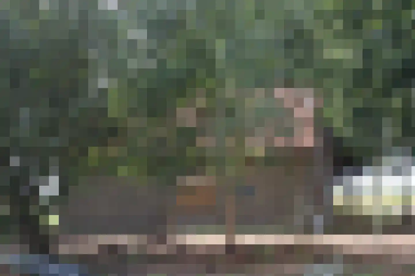 Achterweg 3 Tinte thumbnail 8