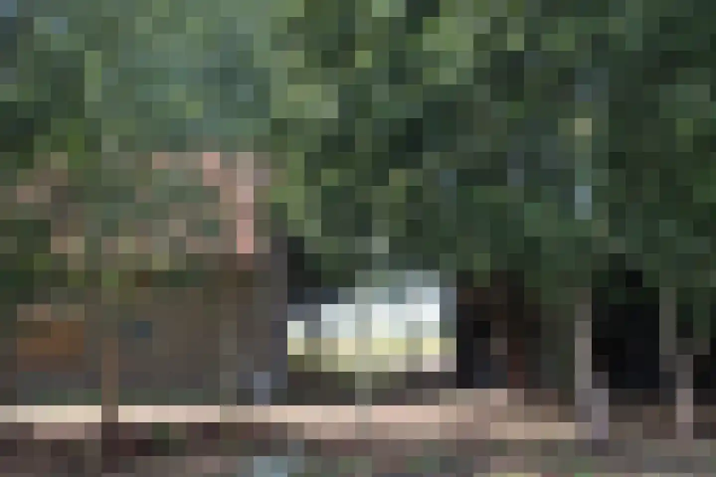 Achterweg 3 Tinte thumbnail 9