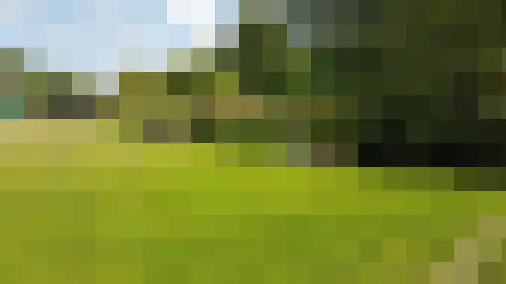Achterweg 34 Alkmaar thumbnail 4