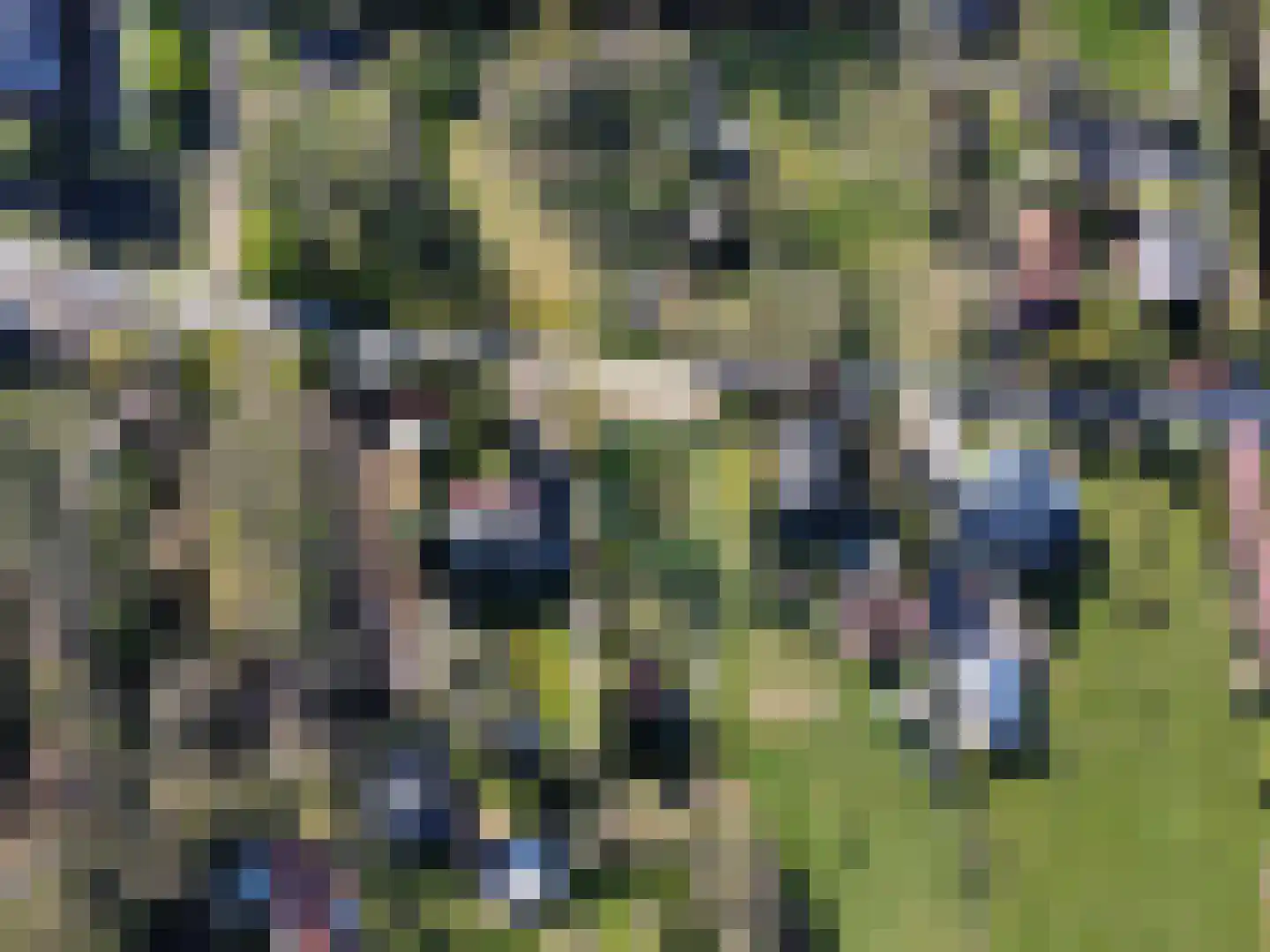 Achterweg 34 Alkmaar thumbnail 6