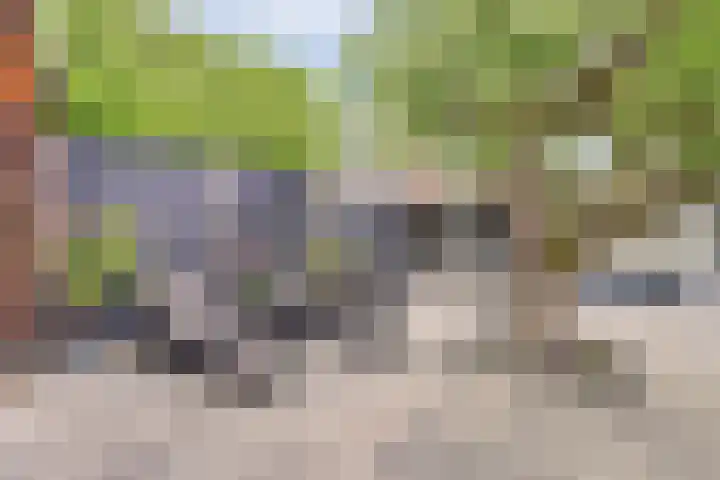 Achterweg 35 Hagestein thumbnail 48
