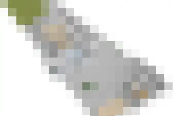 Achterweg 35 Hagestein thumbnail 71