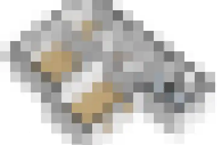 Achterweg 35 Hagestein thumbnail 73
