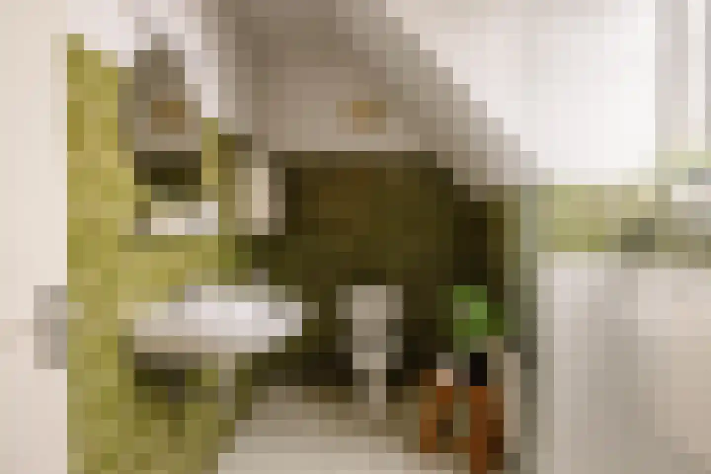 Achterweg 36 Heemstede thumbnail 19
