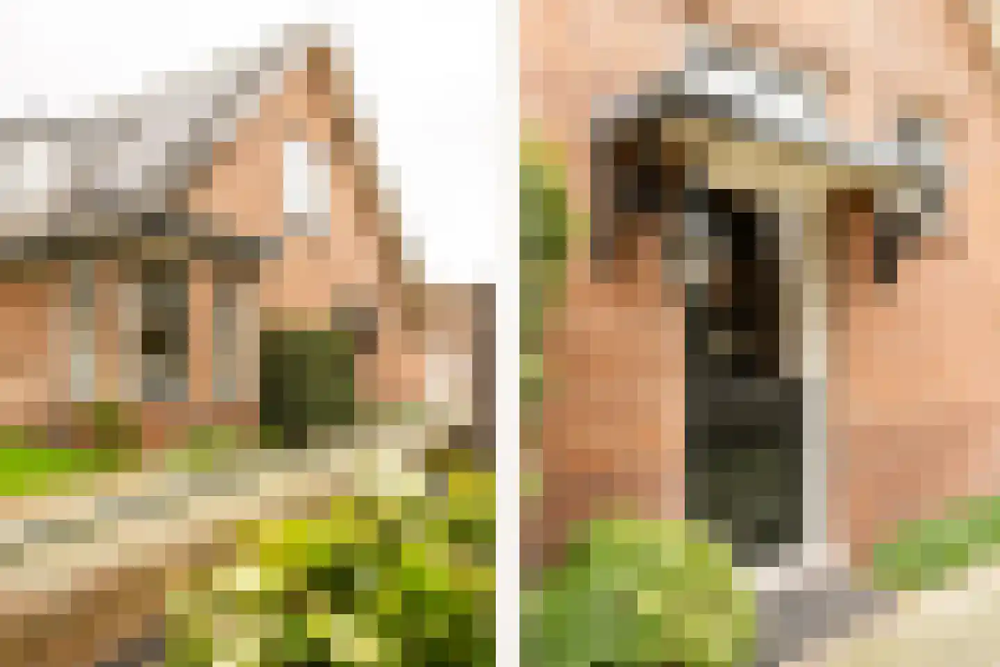 Achterweg 36 Heemstede thumbnail 24