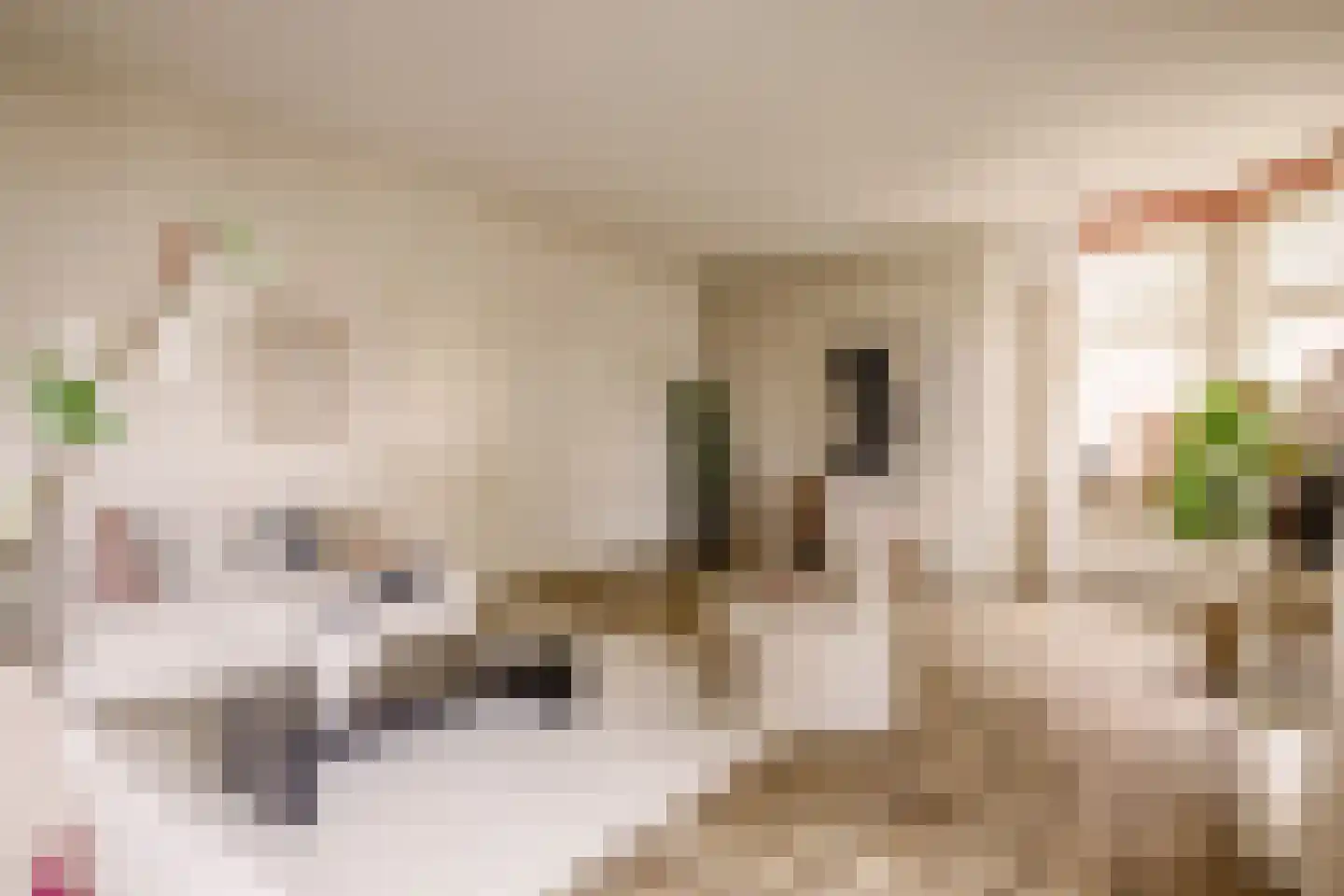 Achterweg 36 Heemstede thumbnail 31